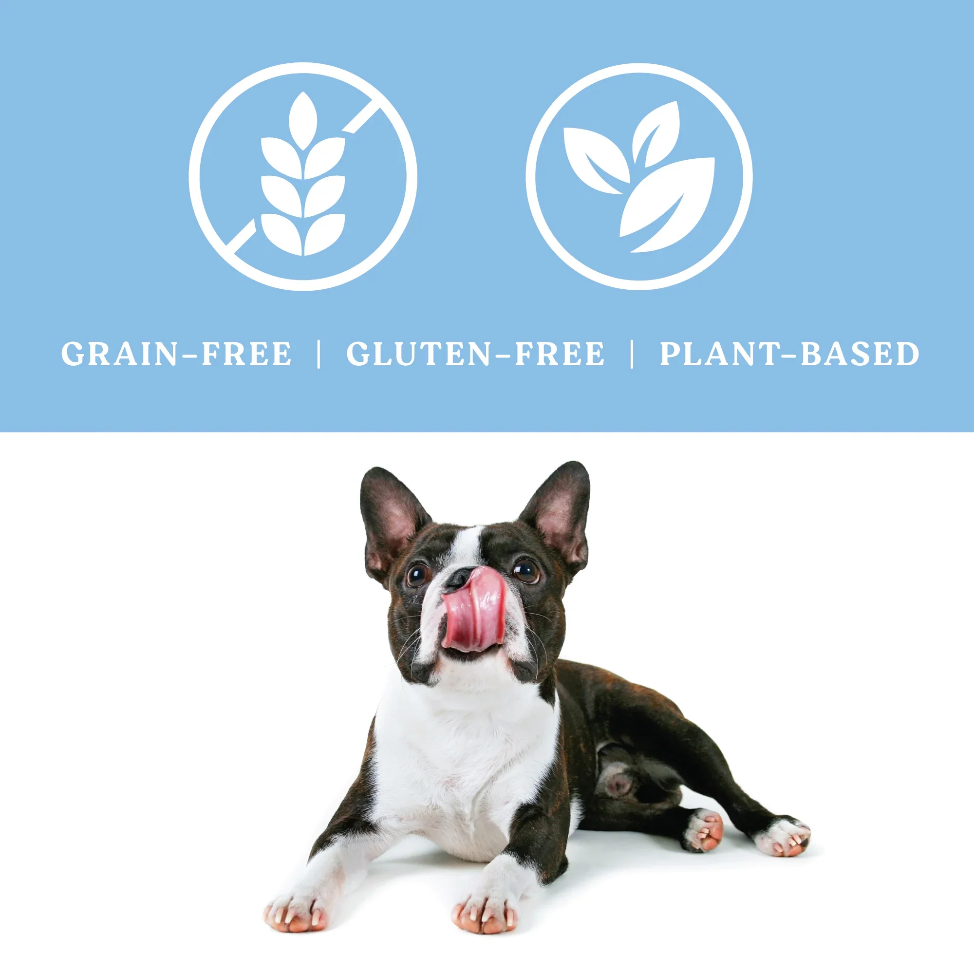 ANGEL EYES SEA STICKS MULTI BENEFIT DOG TREATS 1-pc - Budpants