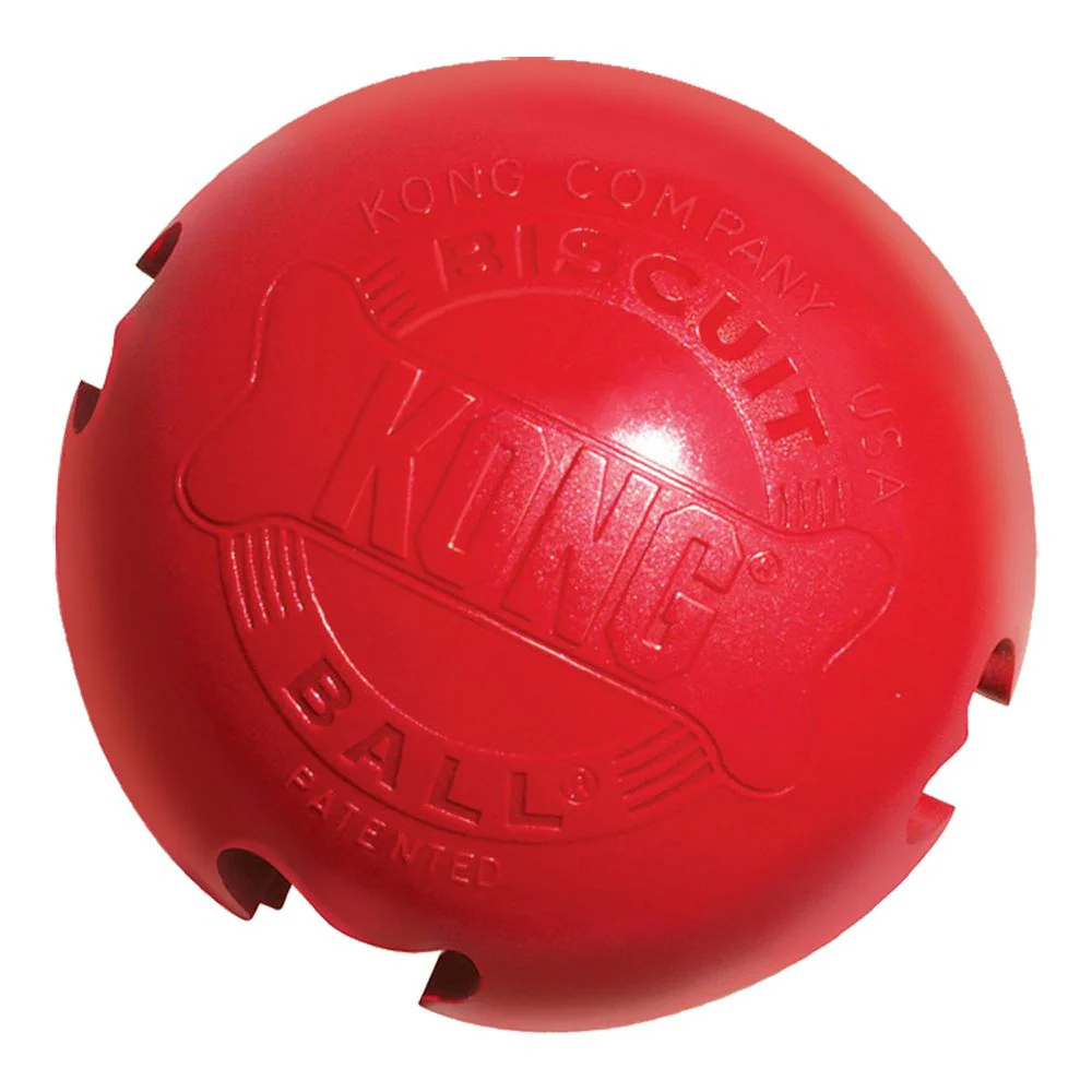 KONG Biscuit Ball Dog Toy - Budpants