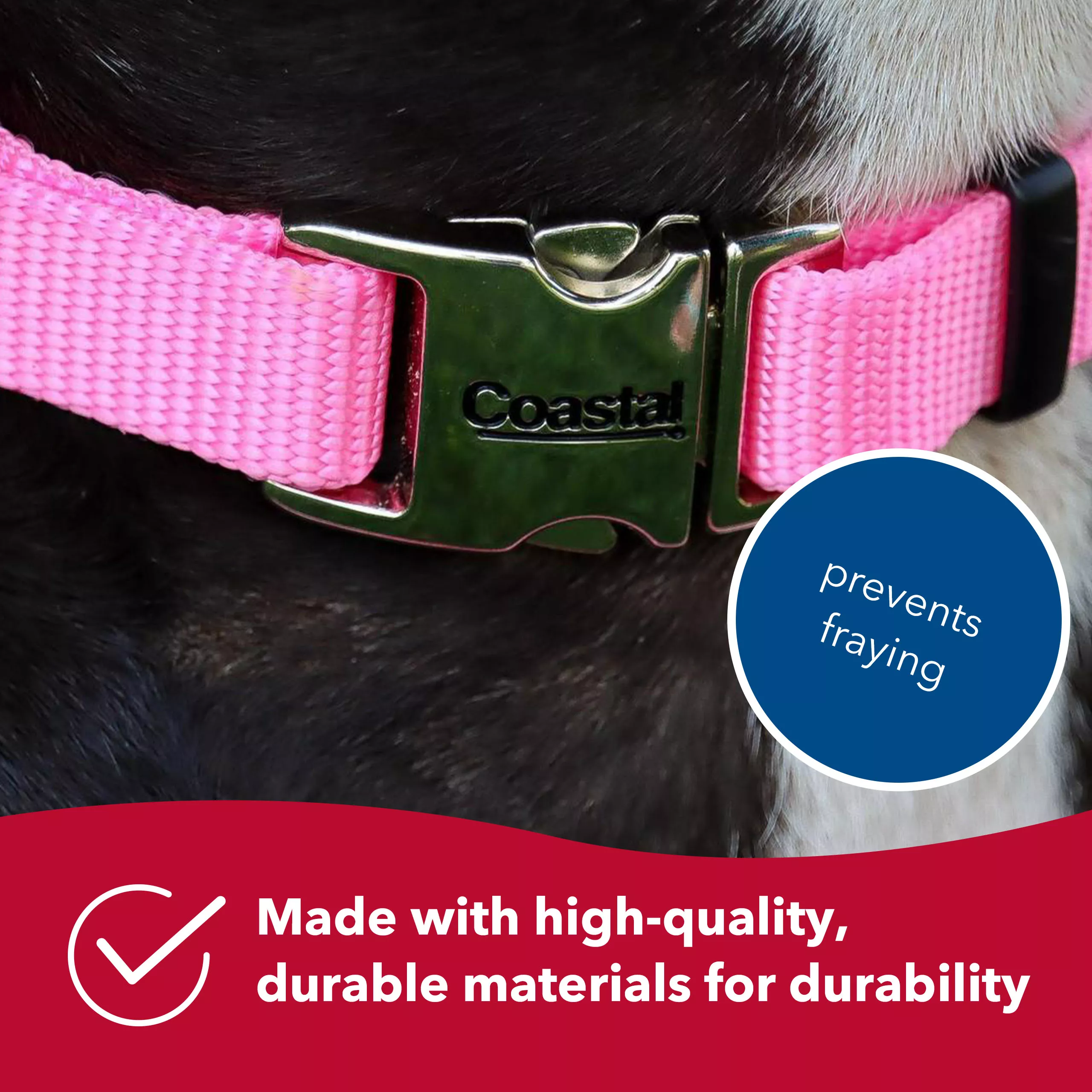 Coastal Adjustable Dog Collar with Metal Buckle - Budpants