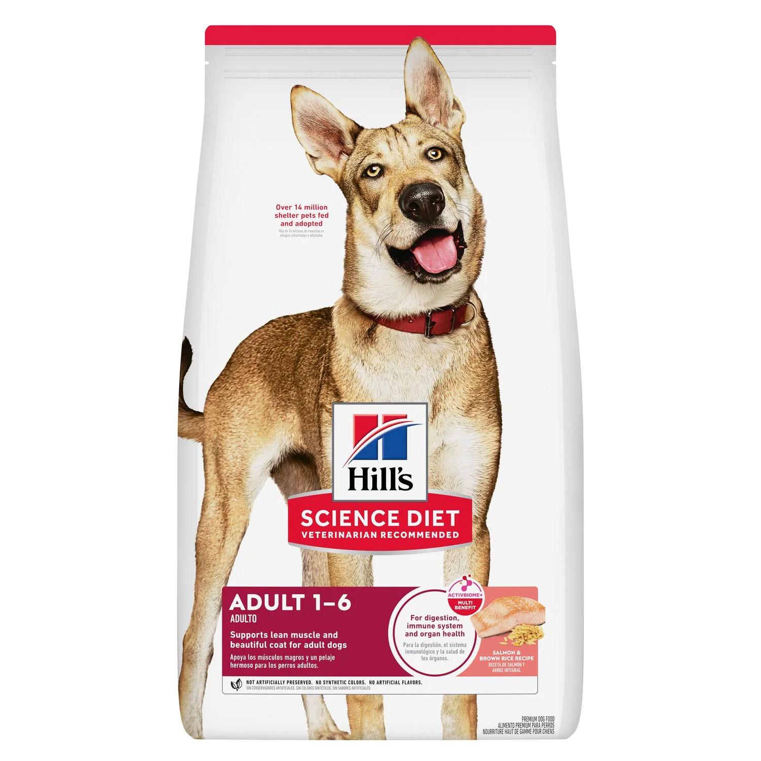 Science Diet Adult Salmon & Brown Rice Recipe Dog Food - Budpants