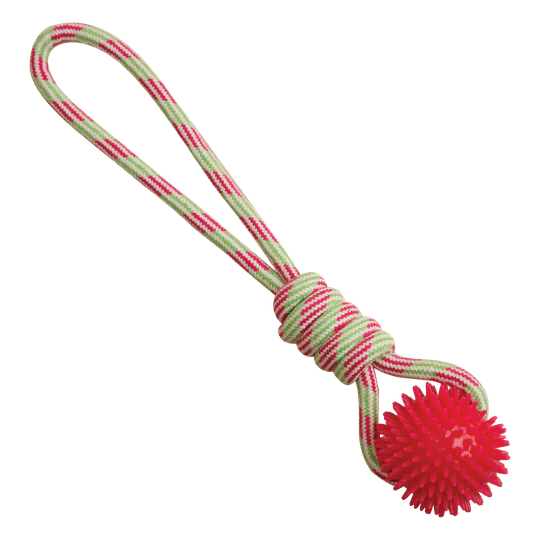Snugarooz Spike-O-Mite Rope Dog Toy - Budpants