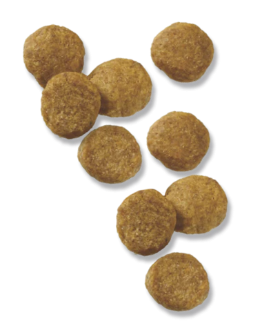 Purina Pro Plan Lamb & Rice Formula Puppy Dry Dog Food - Budpants