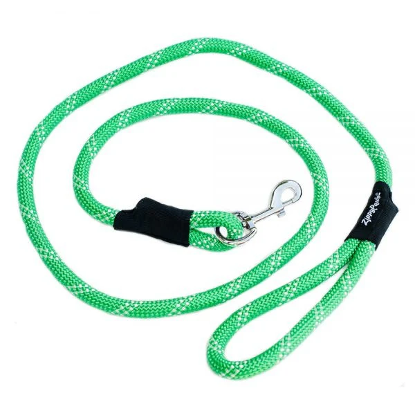 ZippyPaws Original Climbers 6 ft Dog Leash - Budpants