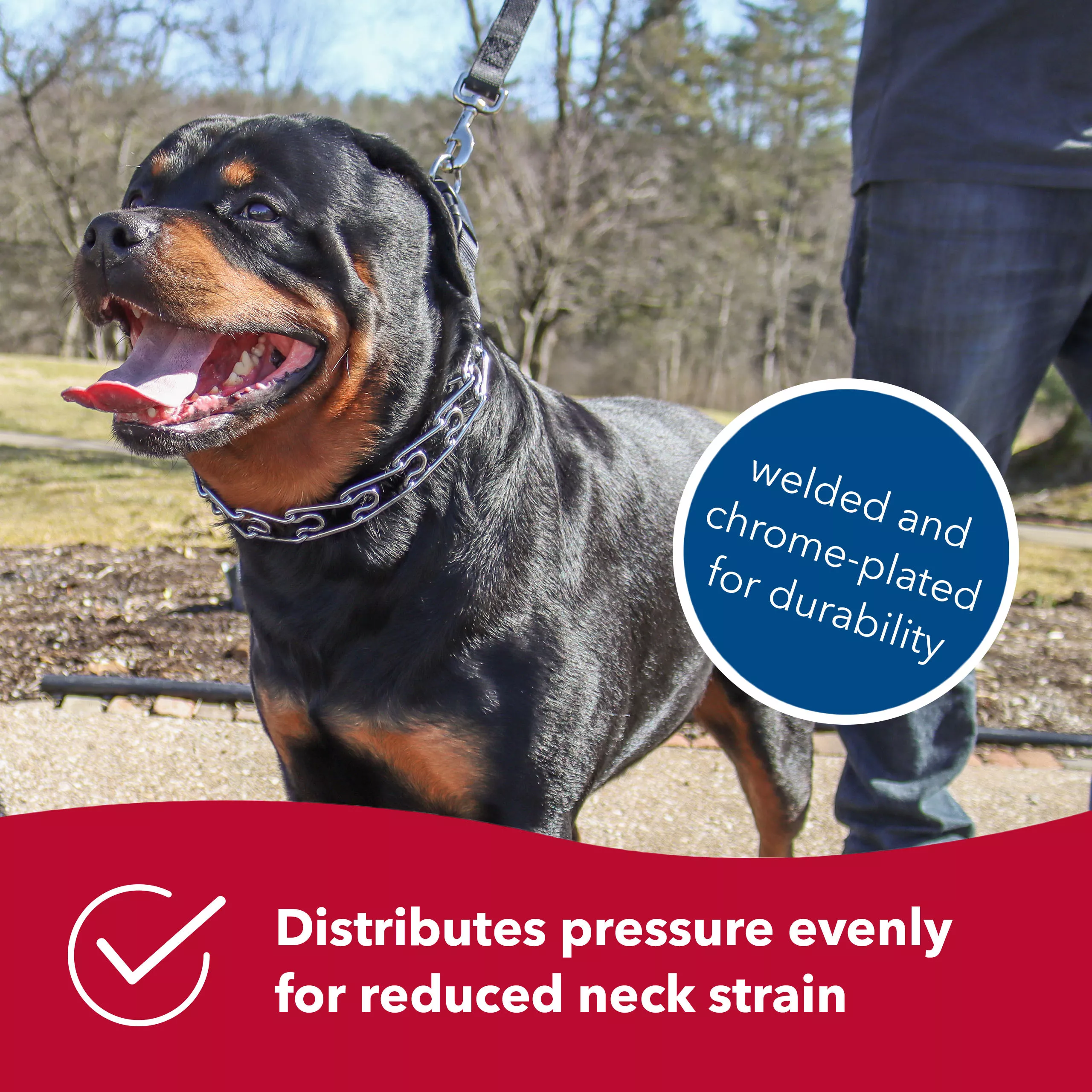 COASTAL Nylon Pinch Collar for dogs - Budpants