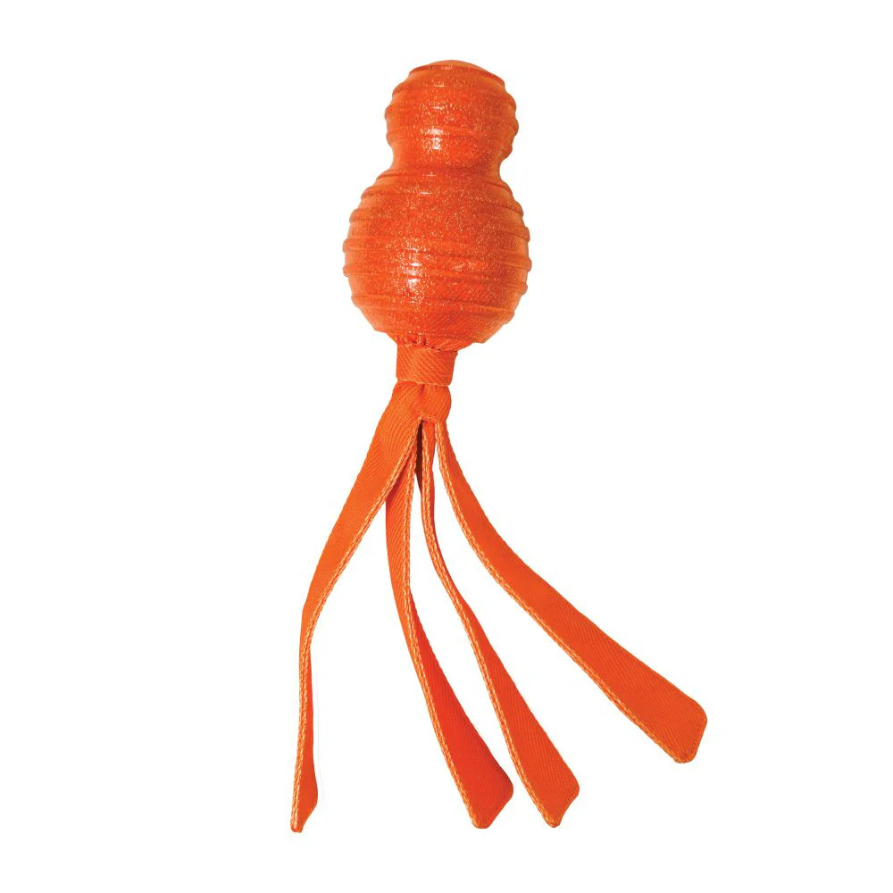 KONG Wubba Comet Dog Toy - Budpants