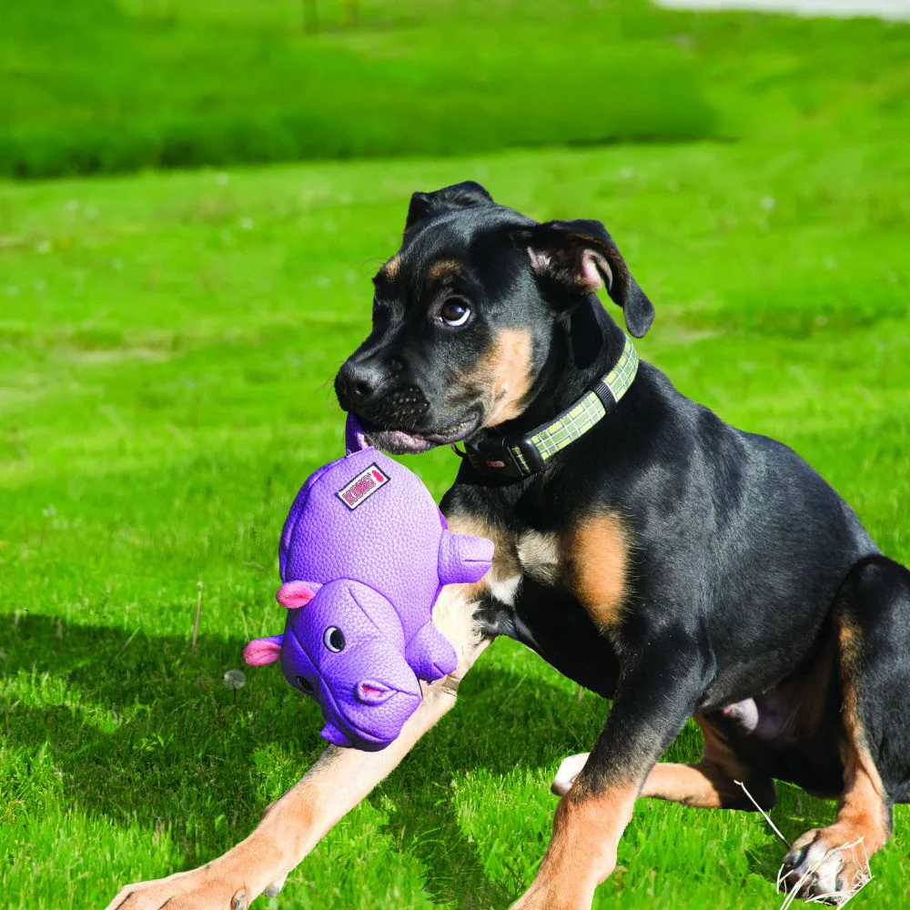 KONG Phatz Hippo Dog Plush Toy - Budpants