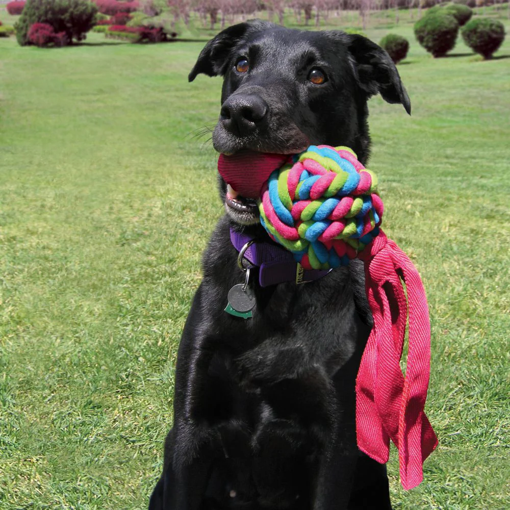 KONG Wubba Weave Dog Toy - Budpants