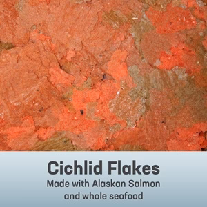Omega One Cichlid Flakes - Budpants