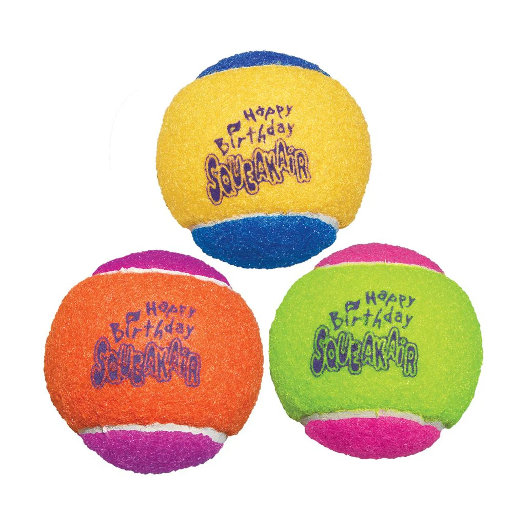 KONG AirDog Squeakair Birthday Balls Dog Toy - Budpants