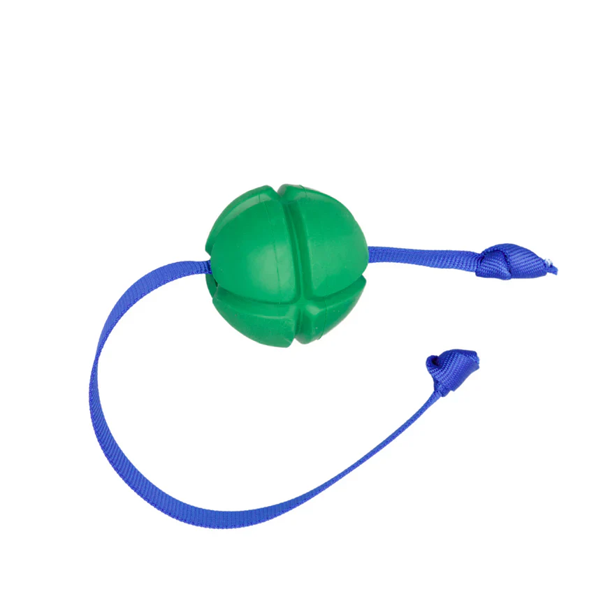 PETKORE FLOTEK DOG TUG - Budpants