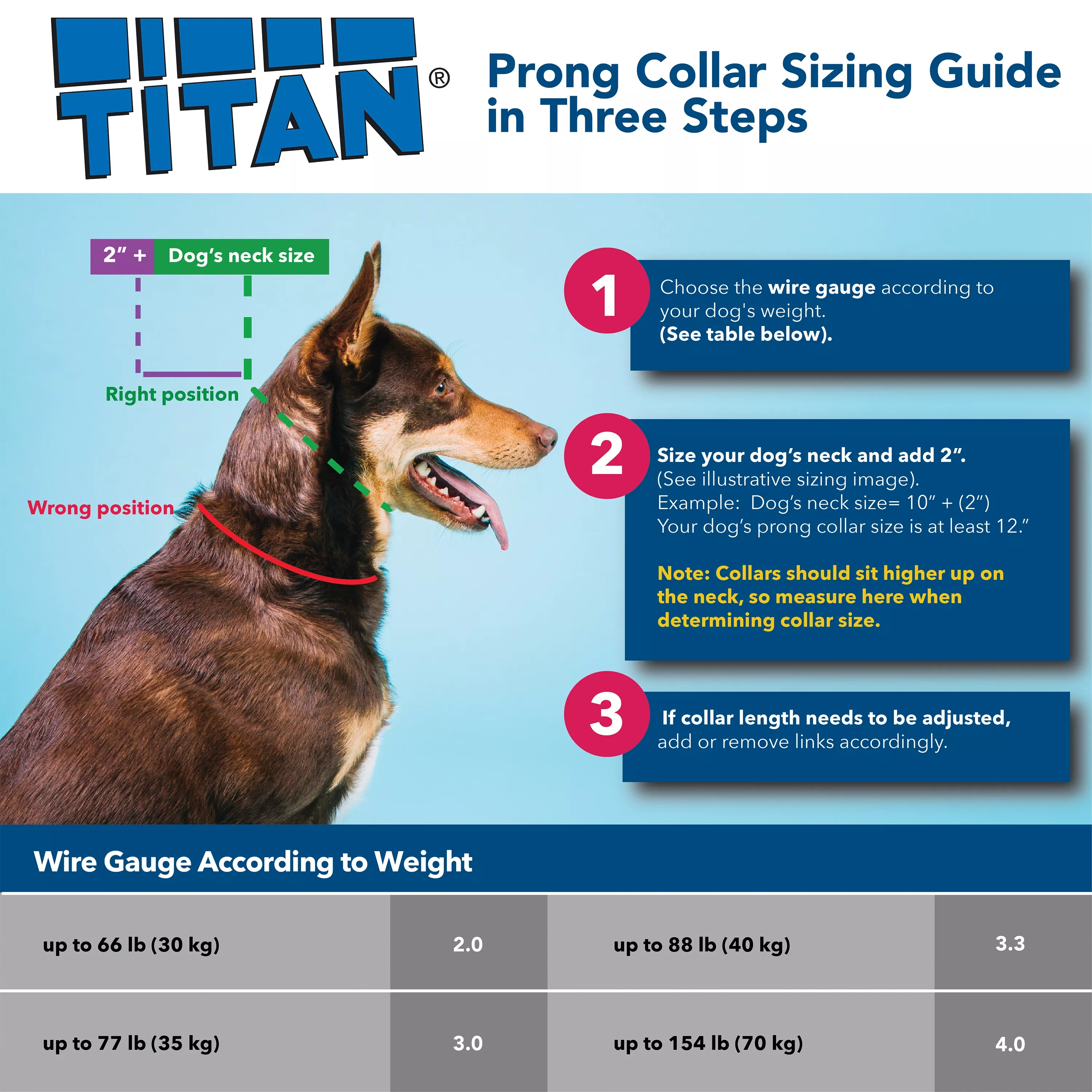 COASTAL Nylon Pinch Collar for dogs - Budpants