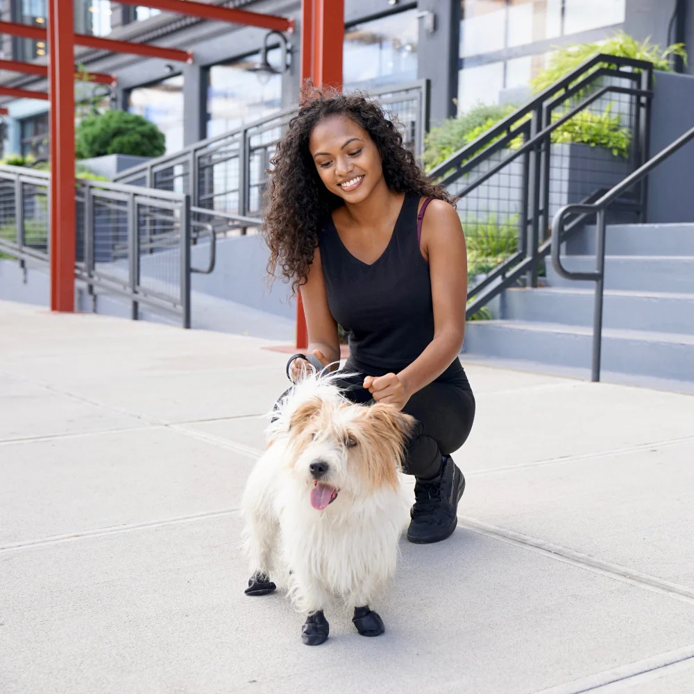 Pawz Black Dog Boots - Budpants