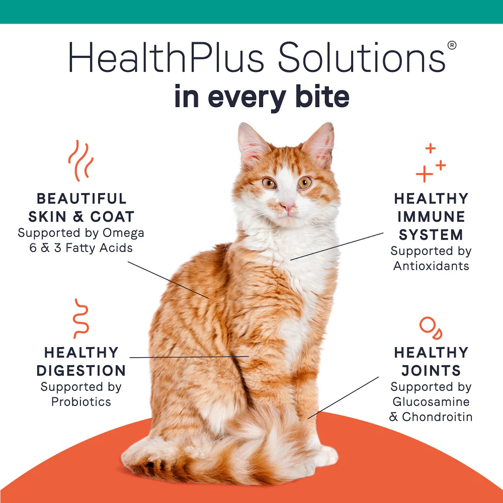 Canidae Grain Free PURE Sea Dry Cat Food - Budpants