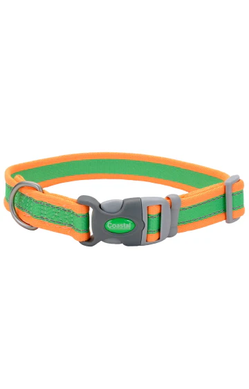Coastal Orange and Green Collar - Budpants