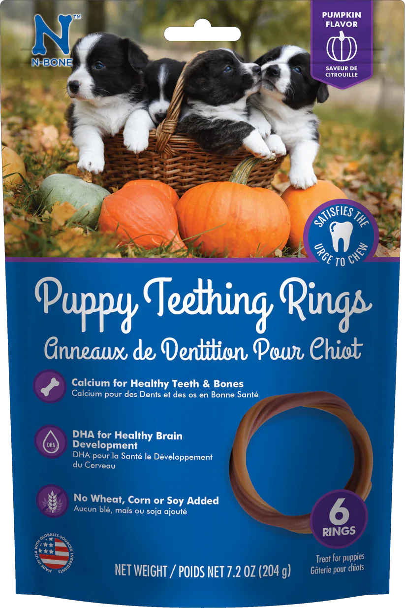 N-BONE PUPPY TEETHING RINGS PUMPKIN FLAVOR - Budpants
