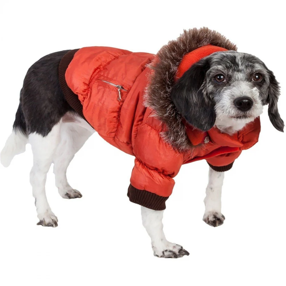 Pet Life Metallic Orange Fashion Parka Insulated Dog Coat with Removable Hood - Budpants