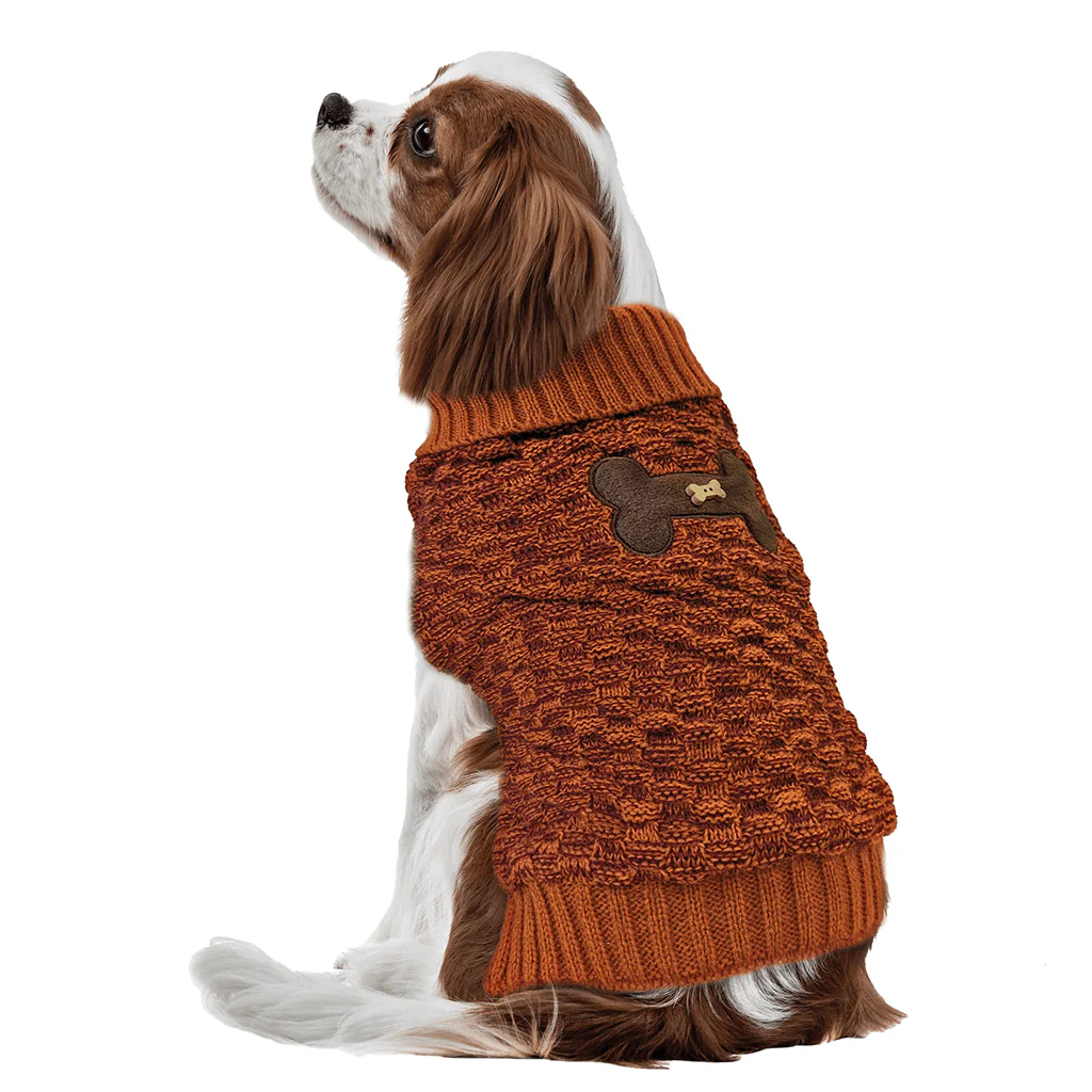 Fashion Pet by Ethical Bone Accent Orange Sweater - Budpants
