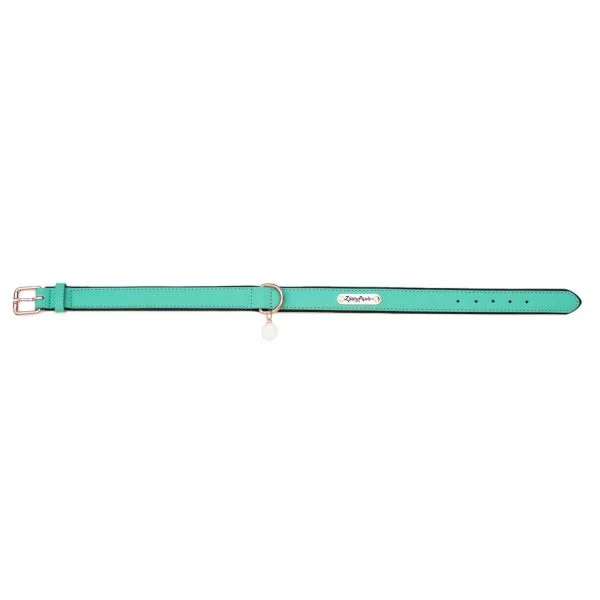 ZippyPaws Vivid Collection Teal Dog Collar - Budpants