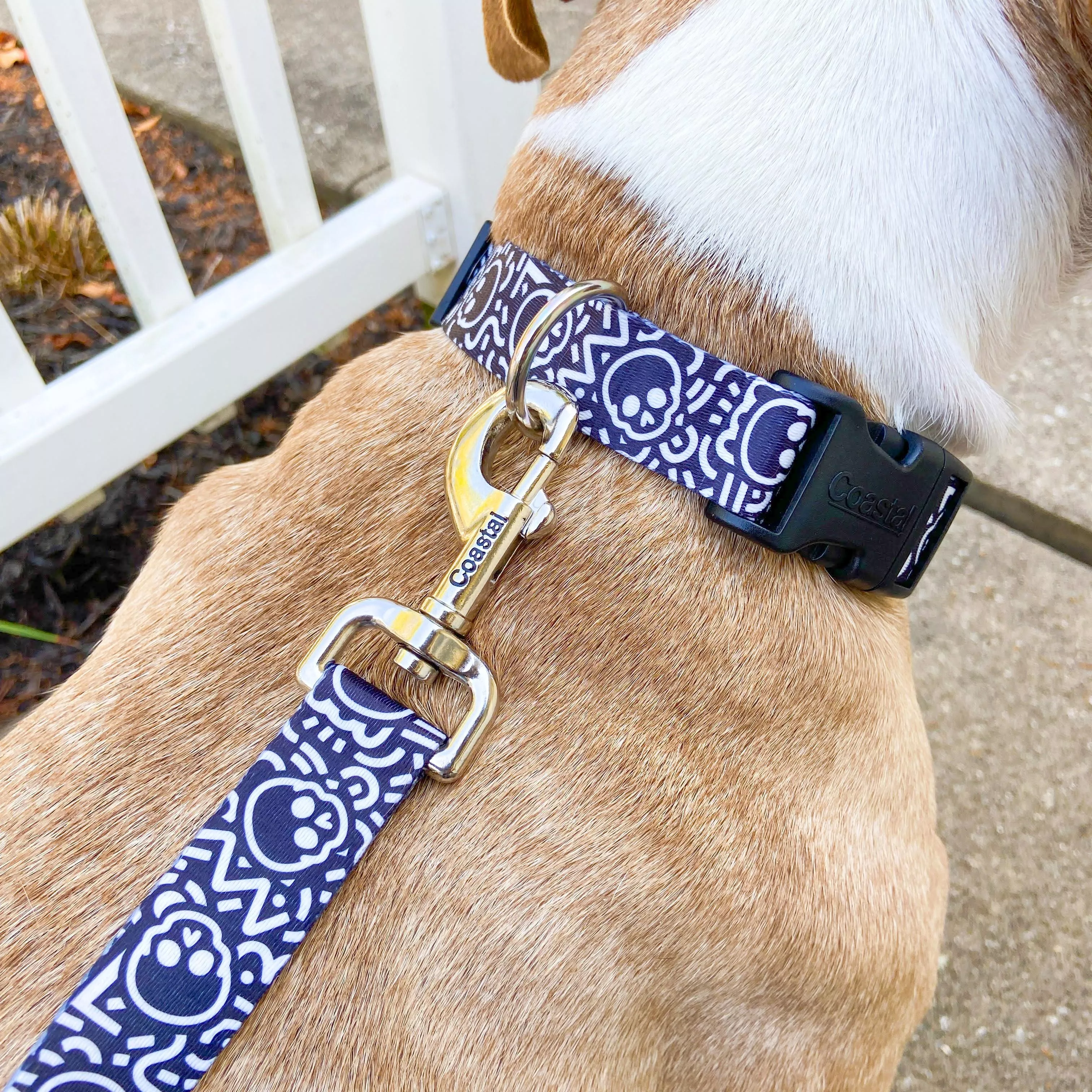 Coastal Styles Adjustable Dog Collar with Skulls - Budpants