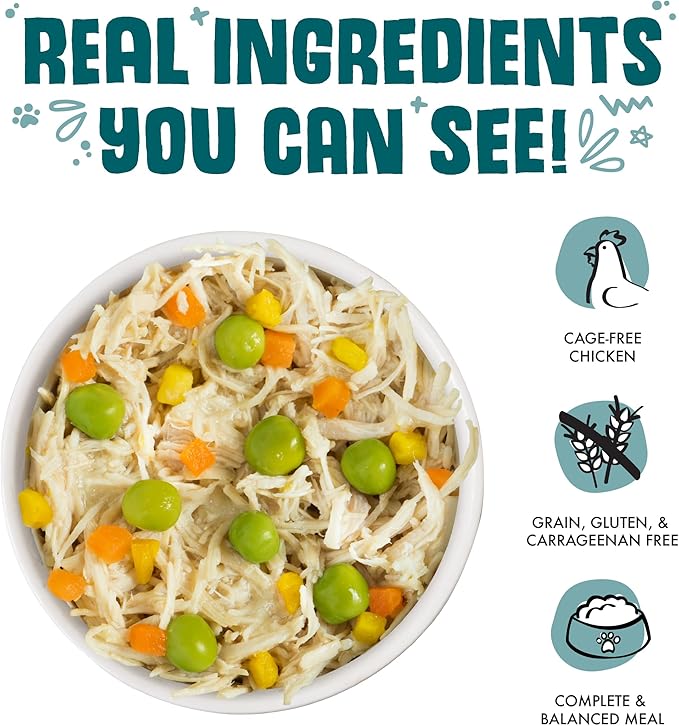Weruva Funky Chunky Chicken Soup with Pumpkin Grain-Free Canned Dog Food - Budpants