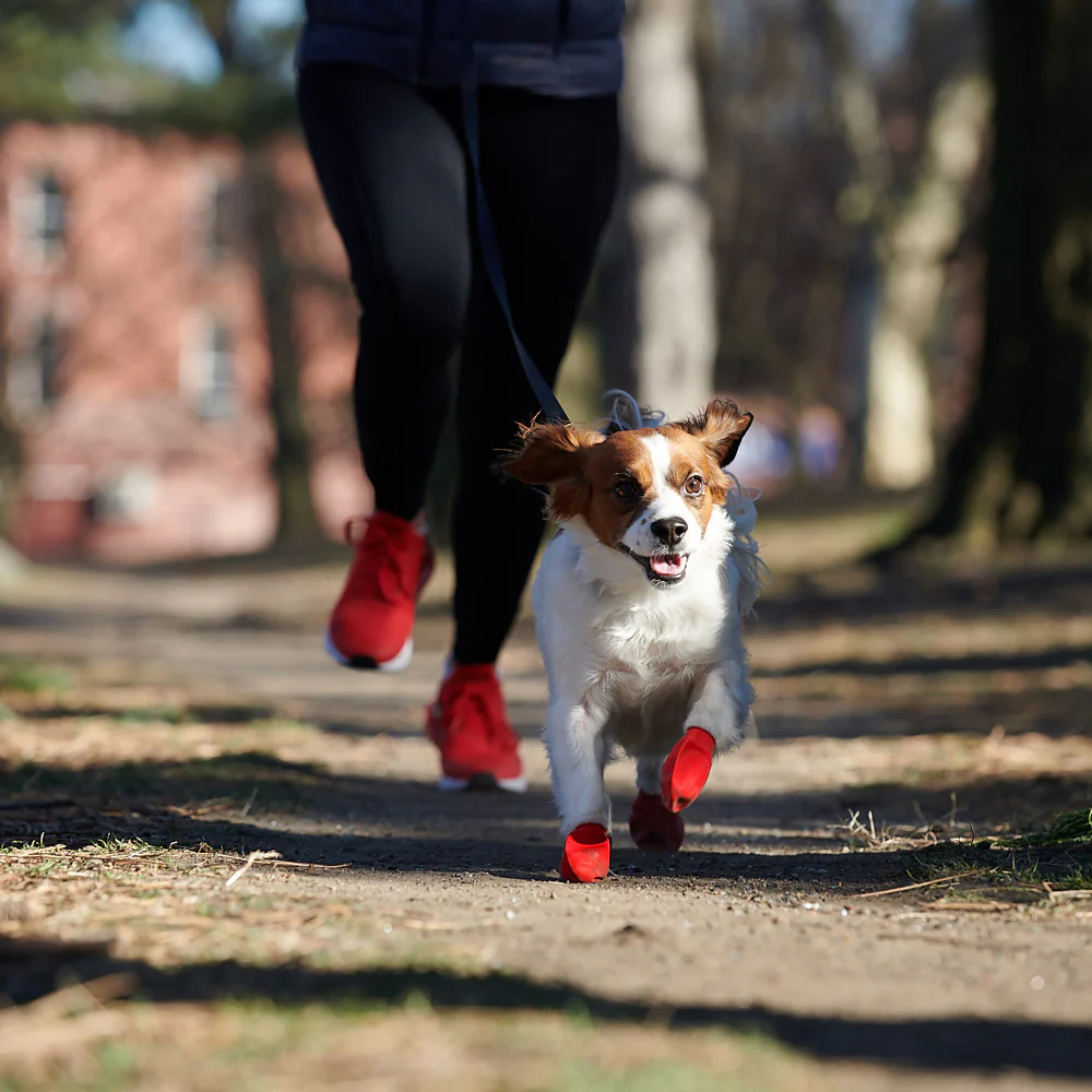 Pawz Waterproof Dog Boots - Budpants