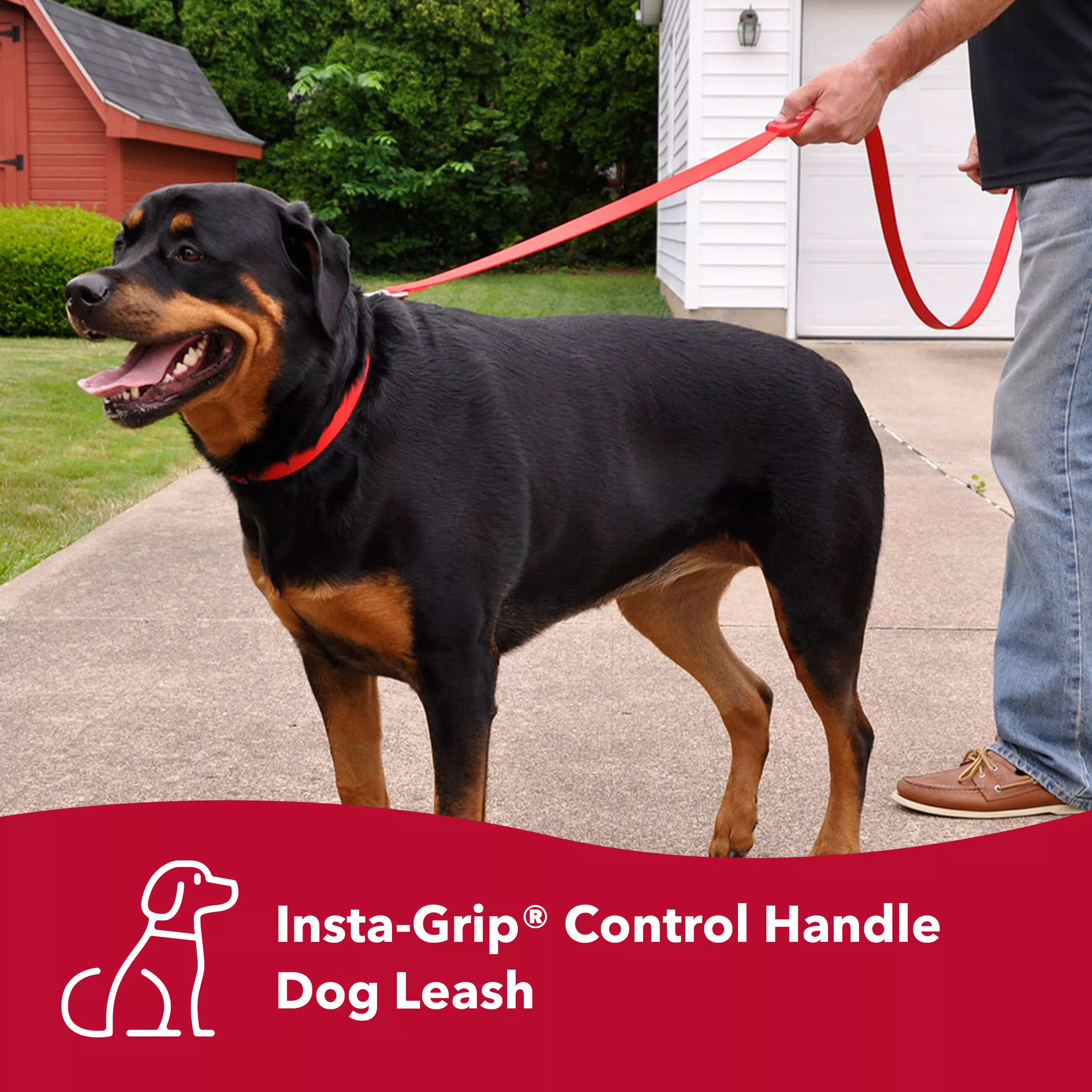 COASTAL INSTA-GRIP CONTROL 6' LEASHES - Budpants