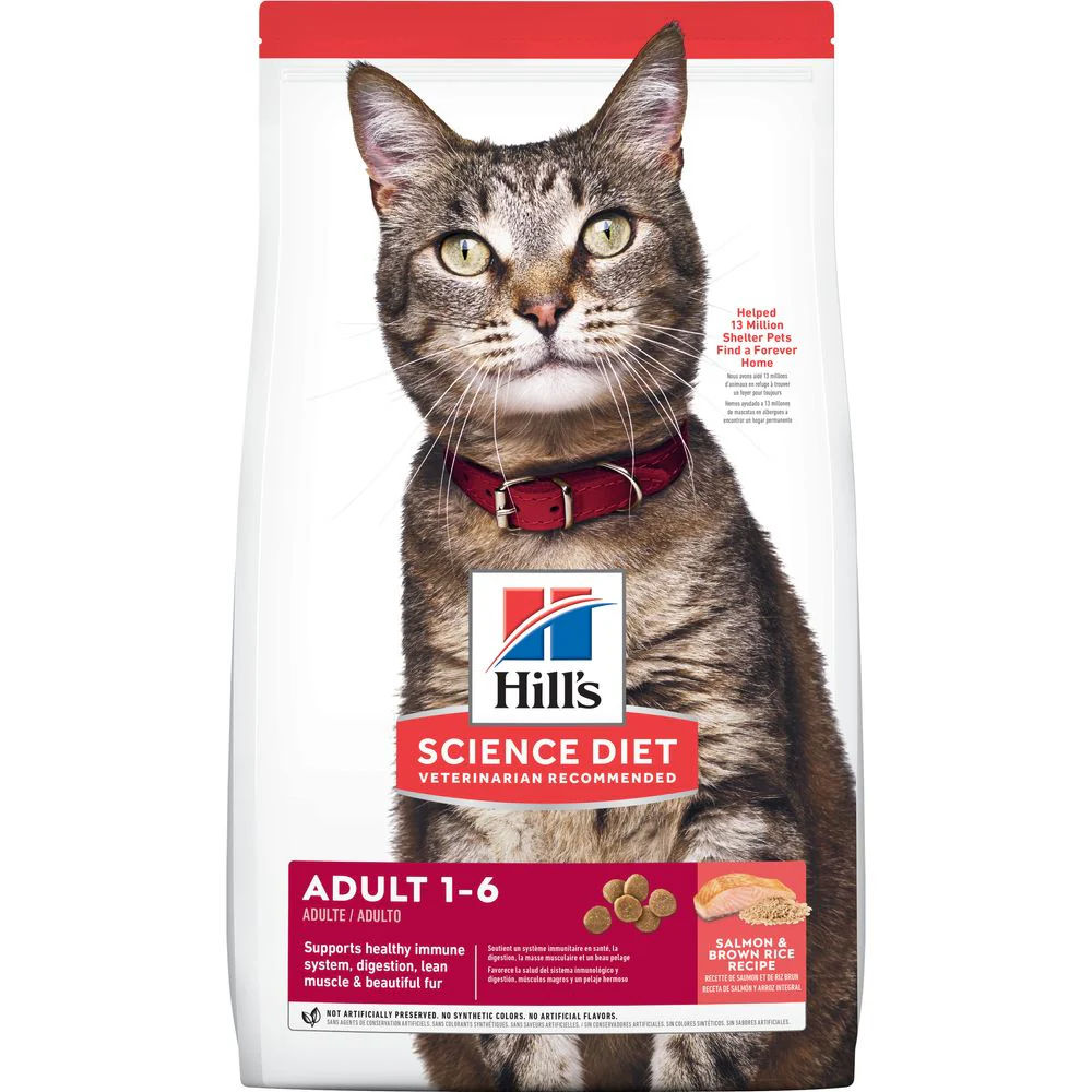 Science Diet Adult Dry Cat Food Salmon & Brown Rice Recipe - Budpants