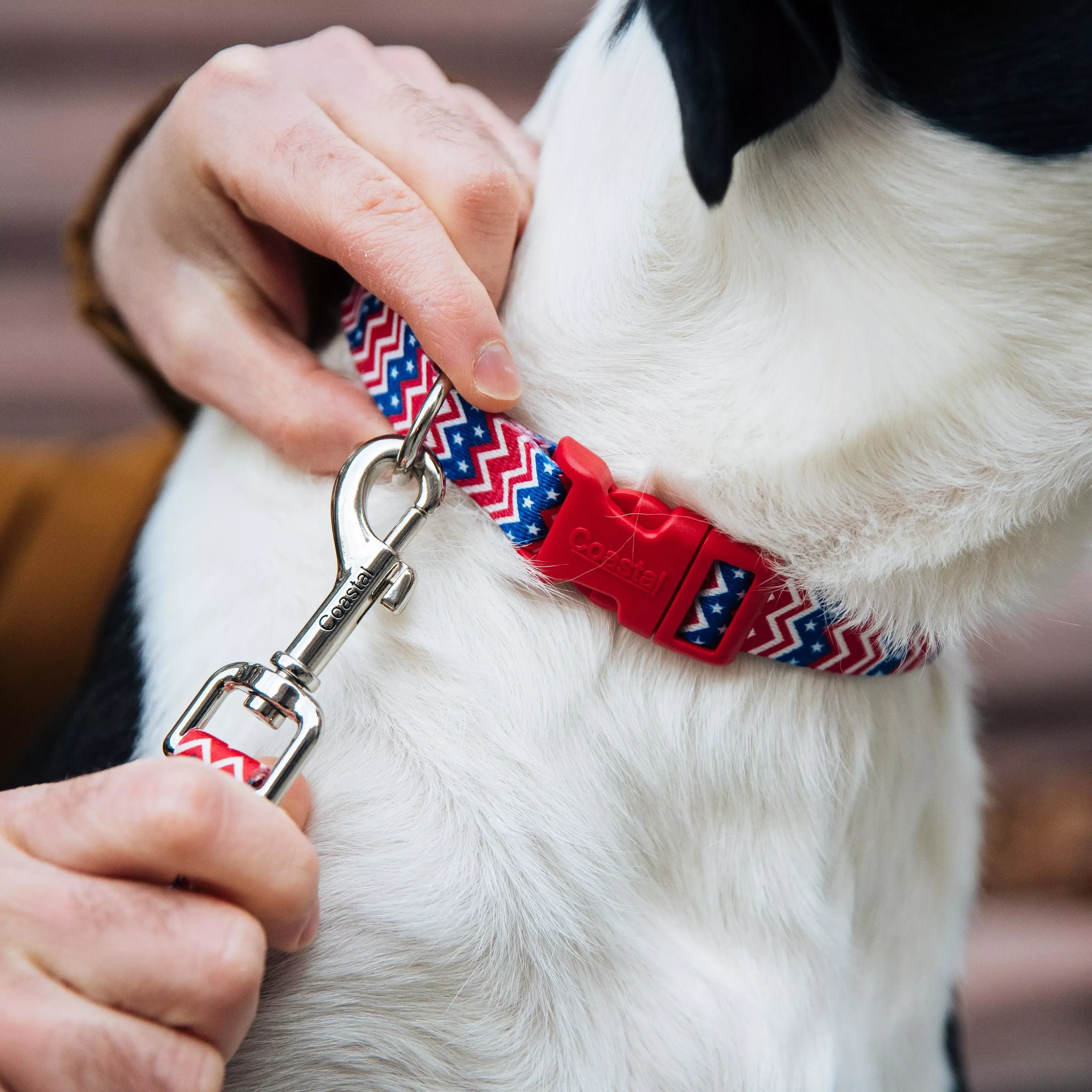 Coastal Styles Pink Dots Dog Leashes - Budpants