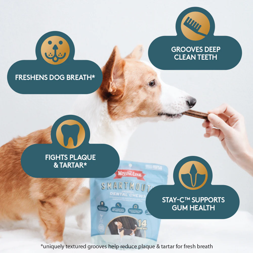 The Missing Link Smartmouth Dental Chews - Budpants