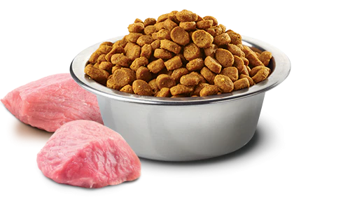Farmina Prime N&D Natural & Delicious Grain Free Adult Wild Boar & Apple Dry Cat Food - Budpants