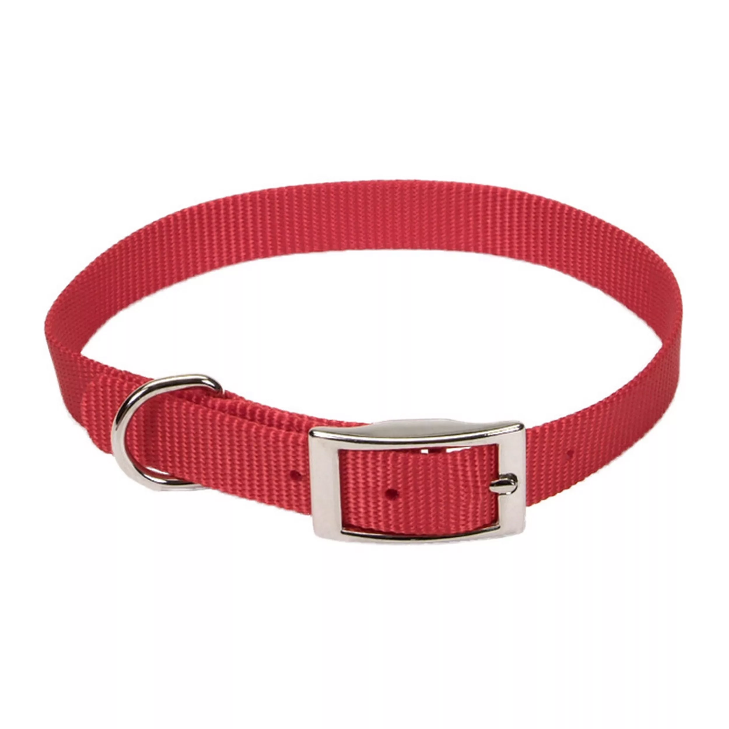 Coastal Pet Products Standard Nylon 5/8in Dog Collars - Budpants