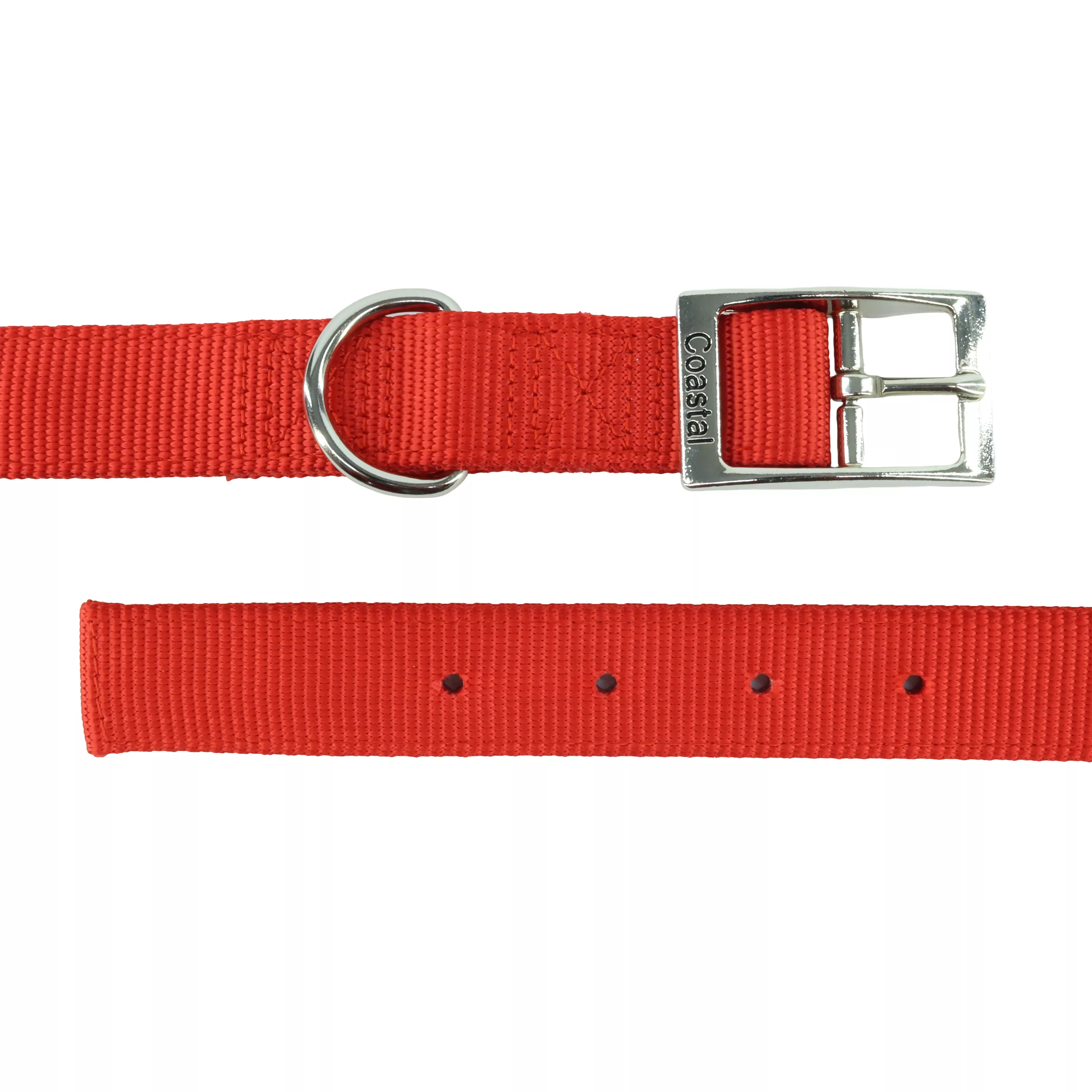 COASTAL 1-in Double Ply Dog Collar - Budpants
