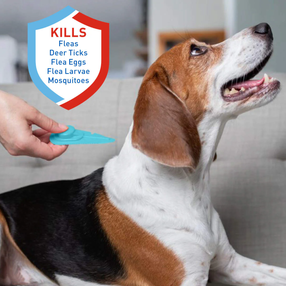 ADAMS Plus Flea & Tick Spot On for Dogs - Budpants
