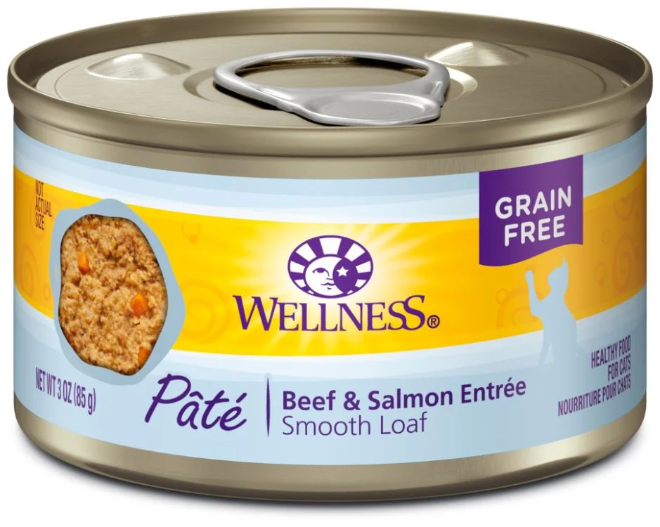 Wellness Complete Health Grain Free Natural Beef and Salmon Recipe Canned Cat Food - Budpants