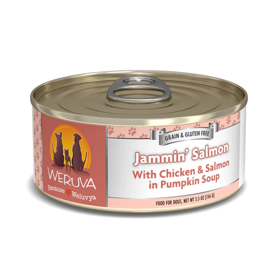 Weruva Jammin' Salmon with Chicken & Salmon in Pumpkin Soup Grain-Free Canned Dog Food - Budpants