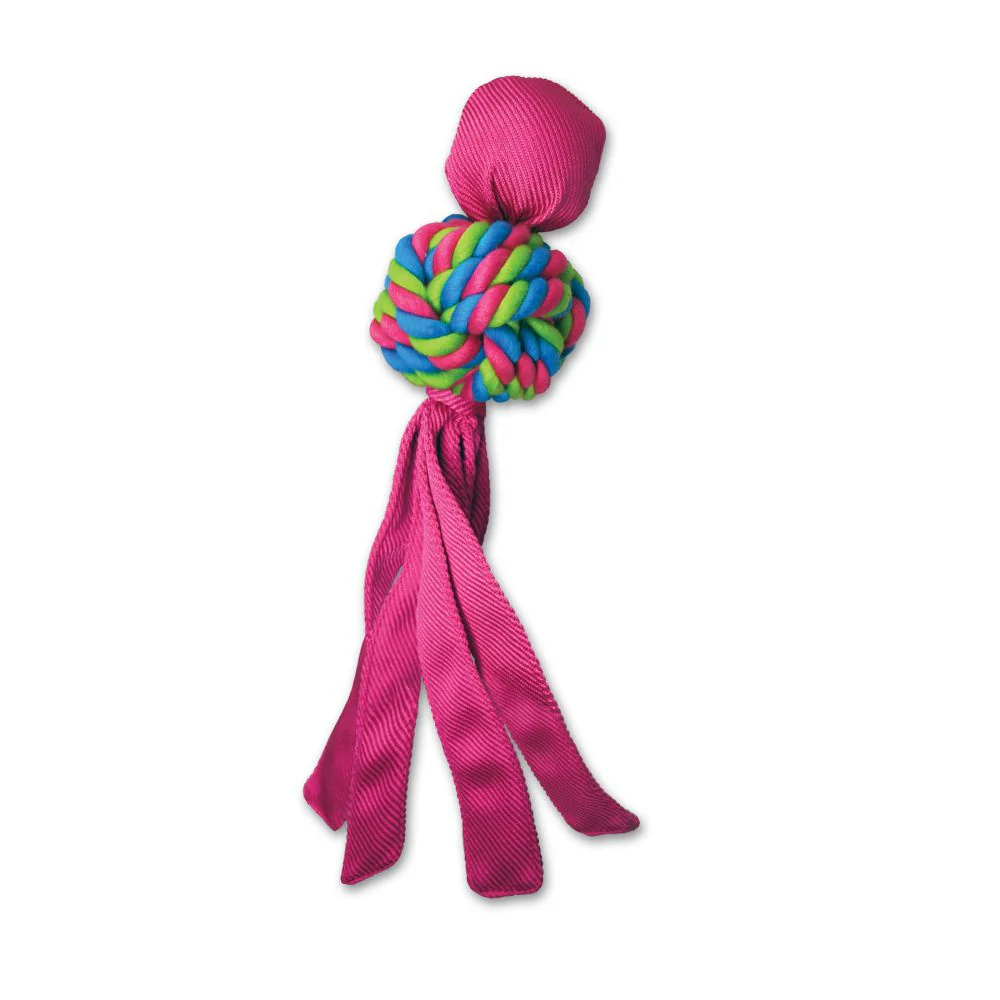 KONG Wubba Weave Dog Toy - Budpants