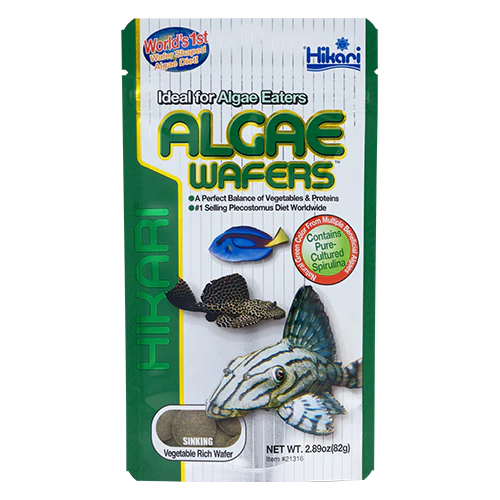 HIKARI ALGAE WAFERS - Budpants
