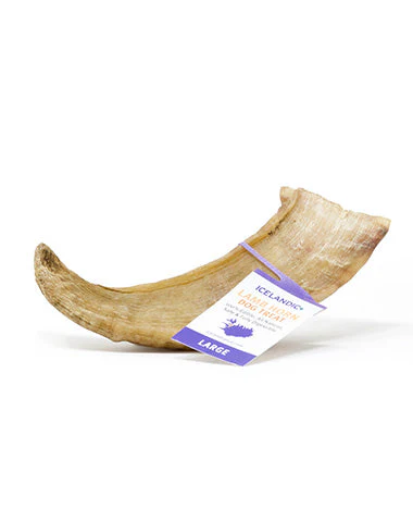 Icelandic+ Large Lamb Horn Dog Treat - Budpants