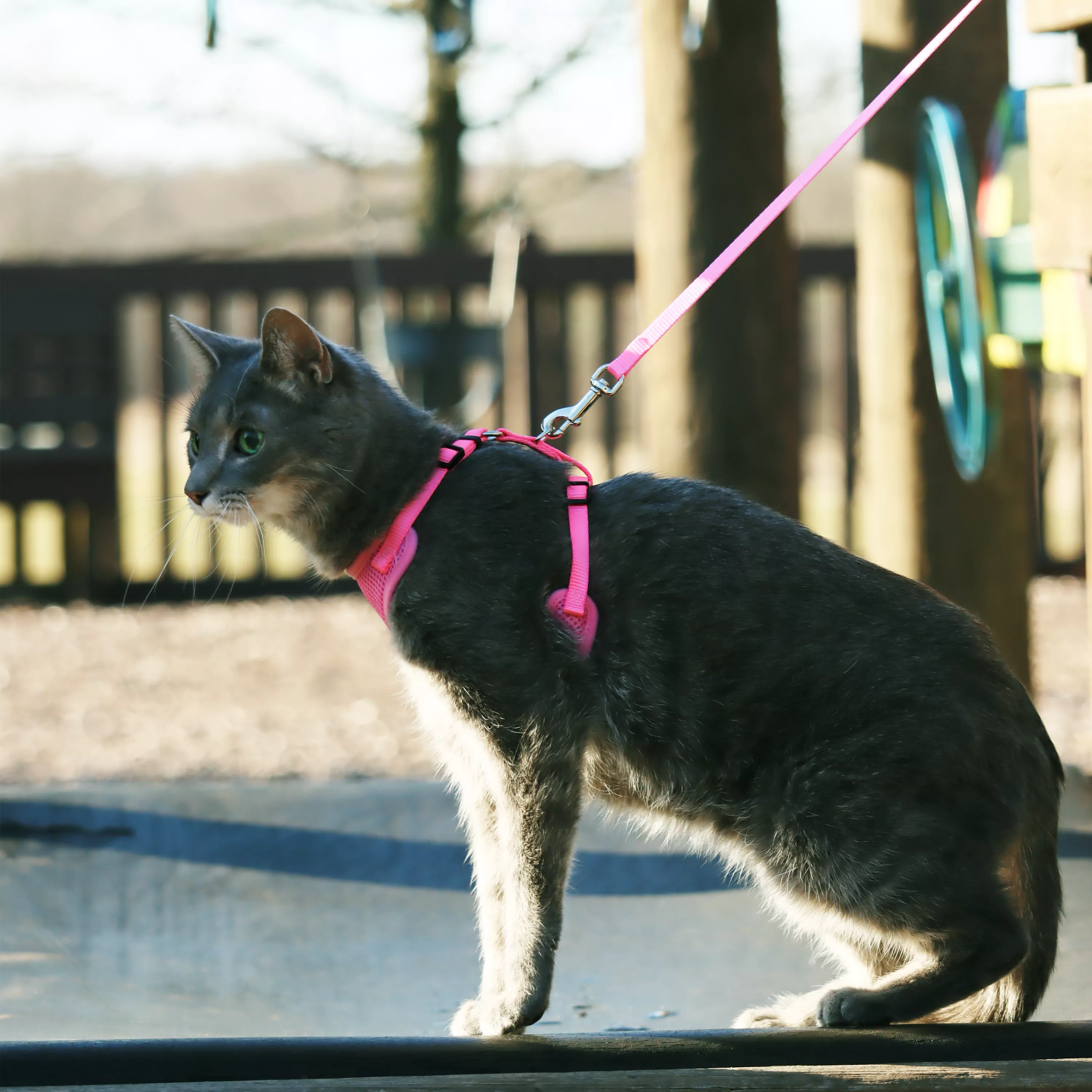 COASTAL Comfort Soft Mesh Adjustable Cat Harness - Budpants