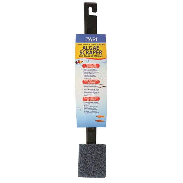 API ALGAE SCRAPER #21 (Extra Long) - Budpants