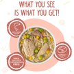 Weruva Jammin' Salmon with Chicken & Salmon in Pumpkin Soup Grain-Free Canned Dog Food - Budpants