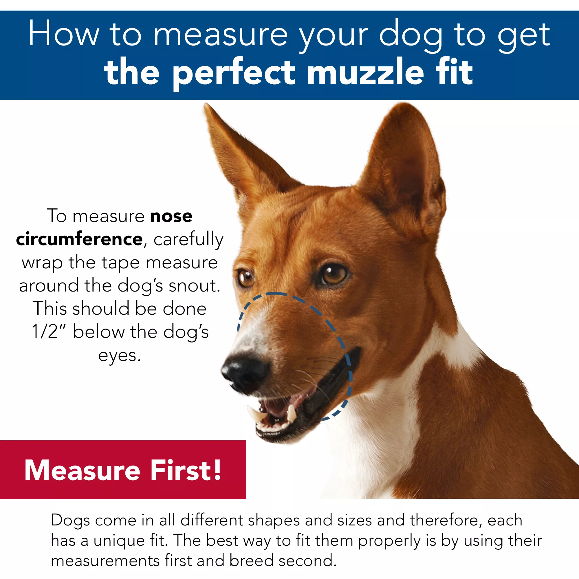 Coastal Best Fit Adjustable Mesh Dog Muzzles - Budpants