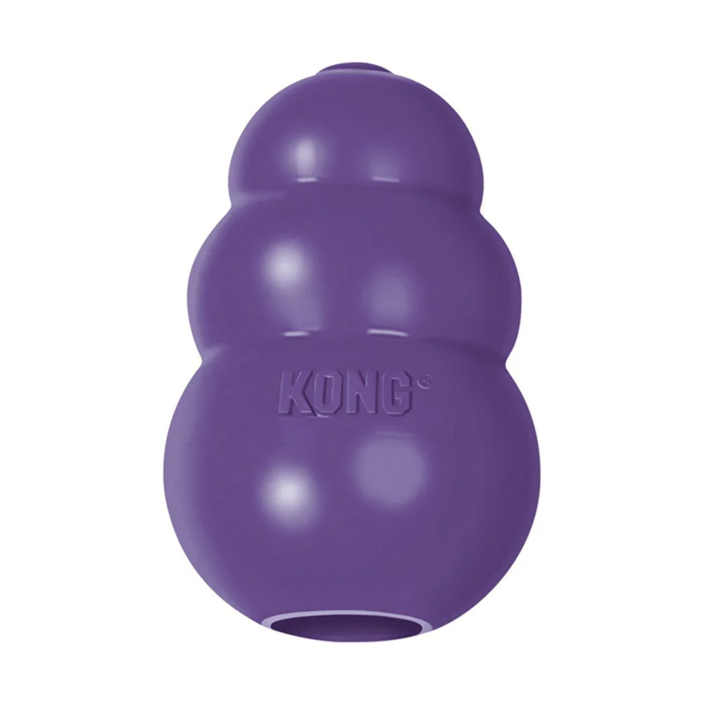 KONG Senior Kong Dog Toy - Budpants
