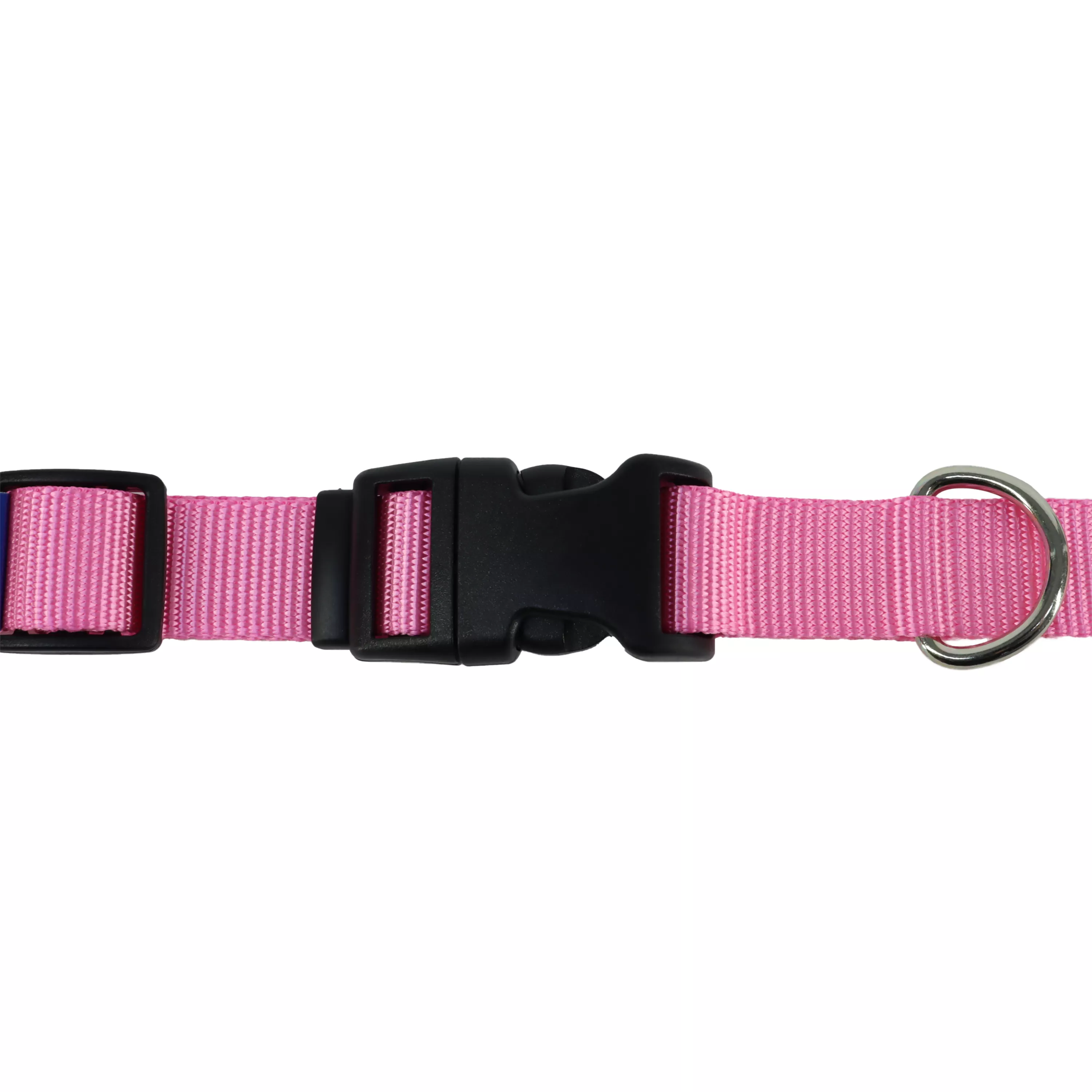 Coastal Pet Products Tuff Buckle Adjustable Nylon Small Dog Collar - Budpants