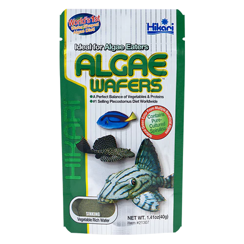 HIKARI ALGAE WAFERS - Budpants