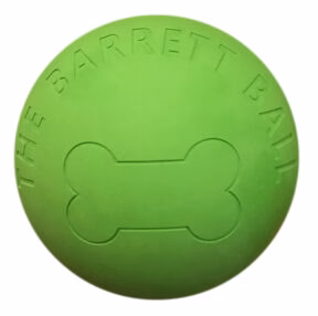 ETHICAL BARRETT BALLS - Budpants
