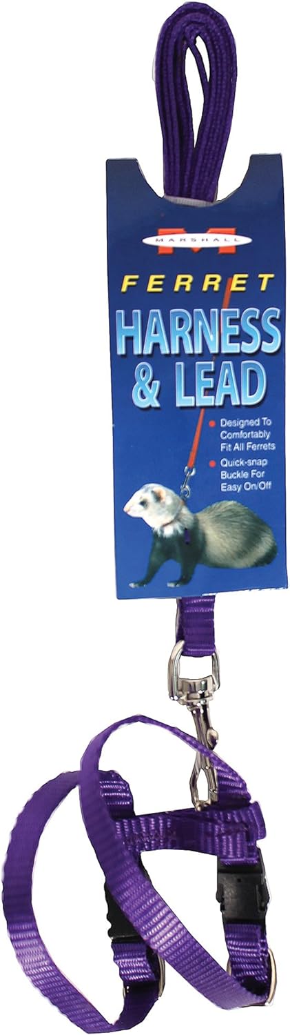 MARSHALL HARNESS & LEASH PURPLE - Budpants