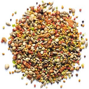 ZuPreem Pure Fun Food for Birds - Budpants