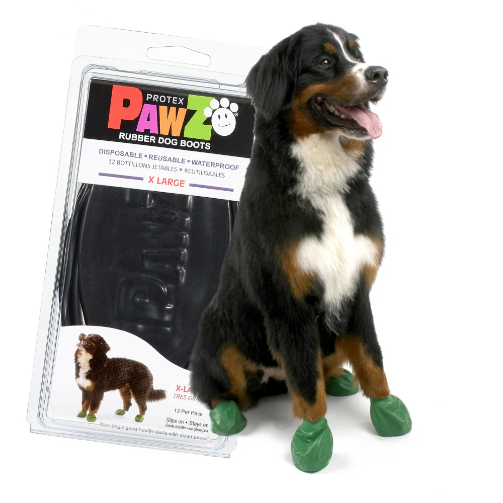 Pawz Black Dog Boots - Budpants