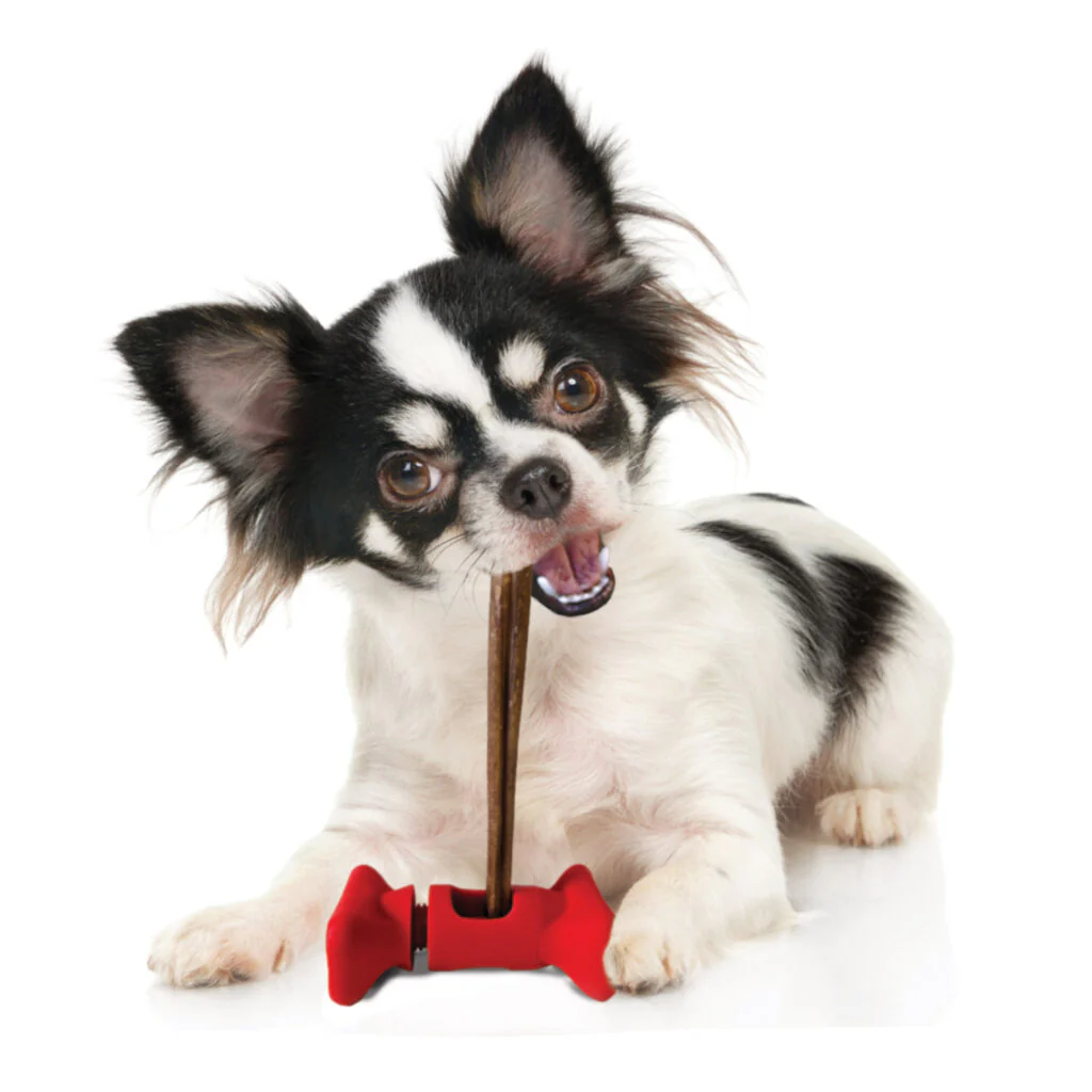 ETHICAL TREAT/BULLY STICK HOLDER - Budpants